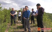 庆阳市政协来宁县开展全市“再造一个子午岭”提质增效行动专项视察