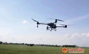 宁县：无人机喷洒农药 高科技助力小麦增收