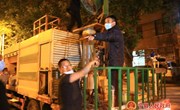 宁县城市管理综合执法局开展县城绿化植被夜间病虫害防治工作