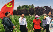 宁县举办农民实用技能提升专题讲座