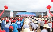 宁县举办“谷和春”杯“乡村振兴 青年建功”暨春荣镇第二届金银花采摘大赛