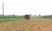 宁县29个农机合作社跨区作业助力小麦夏收