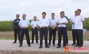 冯毅在督查重点项目建设情况时强调 抢时间抓进度重质量保安全 高质高效推进项目建设