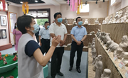 李波 韩志杰调研宁县非物质文化遗产保护传承和东西部文化交流合作