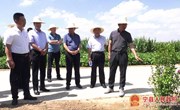 段登云调研全县农业农村重点工作