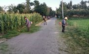 瓦斜乡开展道路杂草清除活动