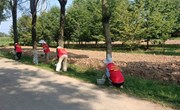 瓦斜乡原沟村为600棵行道树刷白