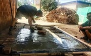 春荣镇：卫生厕所的投入使用率达90%
