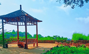 盘克：小景观绘就美丽乡村新画卷