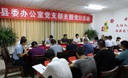 段登云参加县委办公室党支部主题党日活动