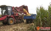 宁县：农业机械化助力秋收 确保秋粮颗粒归仓