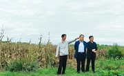 土地流转 “转出”乡村振兴新活力