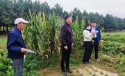 市林业和草原局验收春荣镇化解苗木占用耕地工作