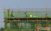 宁县：中农信投（庆阳）食用菌全产业链项目有序推进