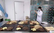 合水县向宁县捐助10000袋中药预防汤剂