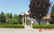 盘克镇党委副书记、镇长王斐：以实绩实效推动党的二十大精神落地落实