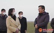 省市考核组考核宁县乡村振兴战略及农业农村重点工作成效