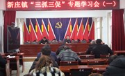 新庄镇召开“三抓三促”集体学习会