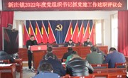 新庄镇召开2022年度村党组织书记抓党建述职评议会