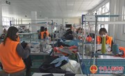 战鼓催征 扬帆奋进 ——新宁镇深入贯彻落实县委十七届九次全会暨县委经济工作会议精神