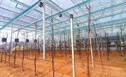 宁县惠众智慧农业示范园项目建设加快推进
