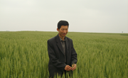 情系天下粮仓 ——记农民育种专家罗盘