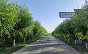 【凝神谋发展 实干兴宁县—“三抓三促”行动进行时】 九岘乡：踔厉奋发勇毅前行 努力开创全乡经济社会各项事业新局面
