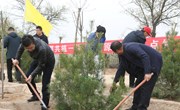 县领导与干部群众参加义务植树活动