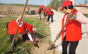中村镇 ：种花植绿添新景 人居环境再提升