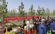 “我为家乡代言·庆阳市农特产品网络销售节”直播活动在宁县举办