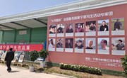 宁县举行“乡风墨韵”全国著名画家写生作品展活动