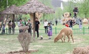 五一小长假临近尾声！义渠国故里景区人气旺盛热度不减！！！