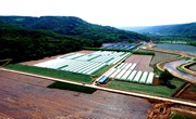 宁县：延链补链强链 激活蔬菜产业带富一方百姓