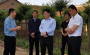 冯毅督查调研当前重点工作