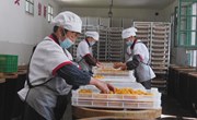新宁镇：工厂建到家门口 就地就业稳增收