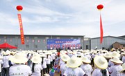 采摘大赛显技能 巧手摘得“金银”来
