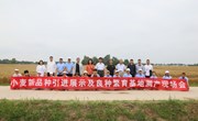 市种子管理站在宁县开展小麦试验示范田间测产考种工作
