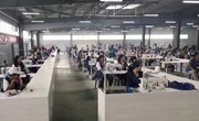 中村镇 ：就业工厂促就业助增收
