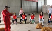 良平镇：文明实践“接地气”助农增收添“薯”光