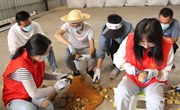 宁县抢抓农时扎实开展复种工作