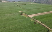 金村乡：“三项举措”“四种模式”发展壮大村集体经济