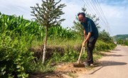 盘克镇：烈日炎炎 人居环境综合提升“热”度不减