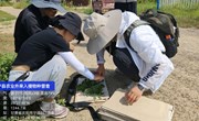 宁县开展农业外来入侵生物普查工作
