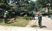高温下的坚守：环卫工人用汗水“守护”城市美丽