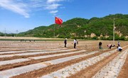 党建引领聚合力 乡村振兴正当时 ——宁县以党建引领村级集体经济发展工作见闻