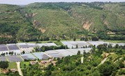 宁县完成瓜菜种植25.3万亩