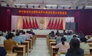 新宁镇召开预防治理未成年人违法犯罪工作推进会