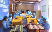 宁县九岘乡：建办就业工厂铺就乡村致富“快车道”