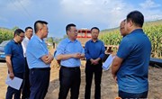 冯毅督查调研全县重点项目建设情况