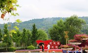 宁县：坚持生态立县 环境持续向好